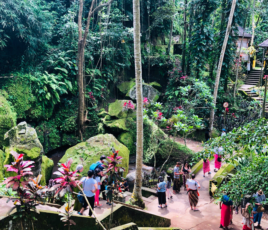 A lush botanical garden teeming with life