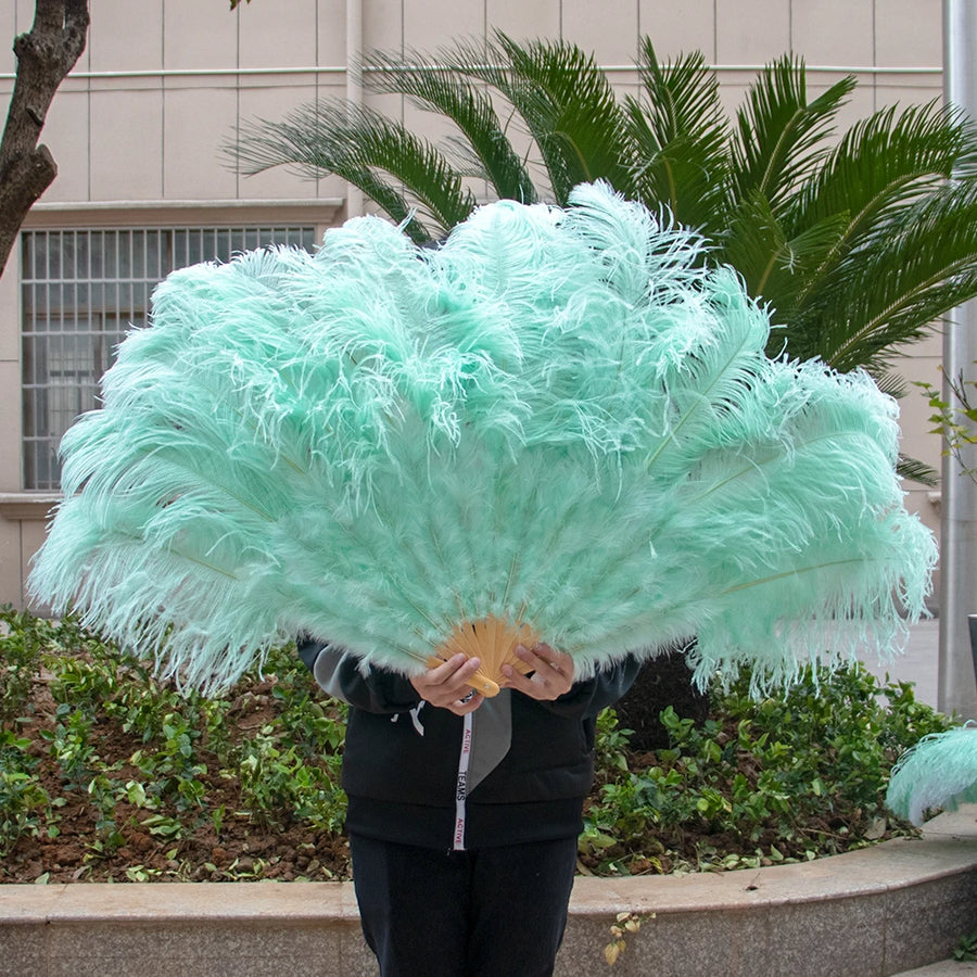 Medium (24"/100cm) Burlesque Ostrich Feather Fans 13 Staves - Many Colors Mint Green 100CM 24 inch - One R L Pair Burlesque Fan Fans Raqs