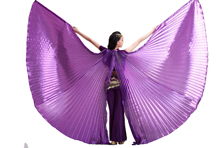 Belly Dance Wings Open or Closed - Many Colors! Belly Dancing Dance Props Raqs Wings